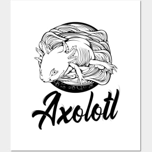 Axolotl Posters and Art